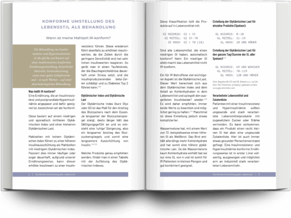 Mockup Buchsatz Fachbuch
