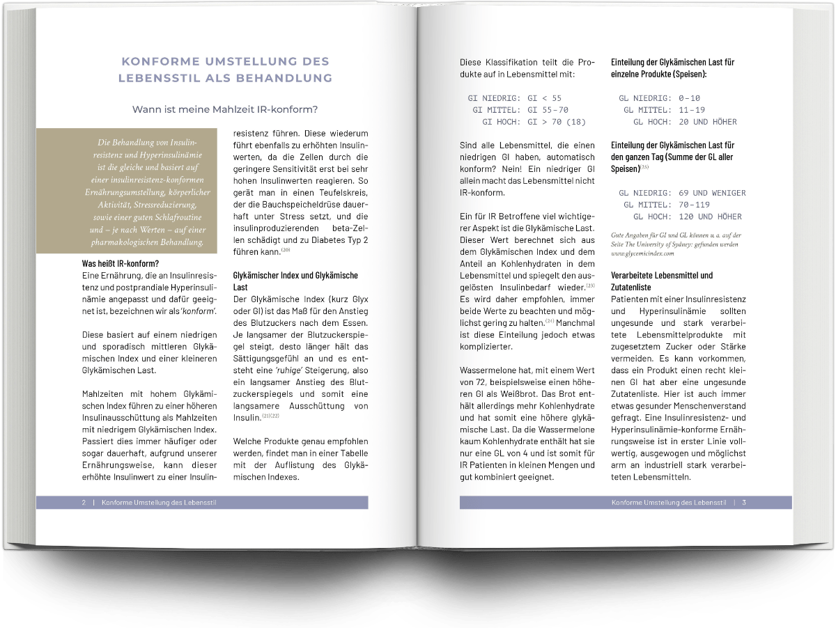 Mockup Buchsatz Fachbuch