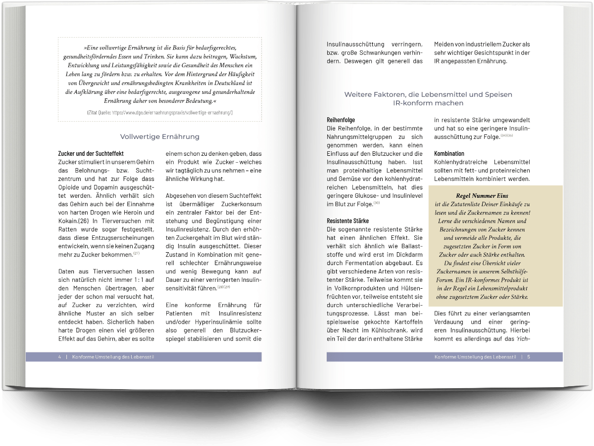 Mockup Buchsatz Fachbuch Insulinresistenz